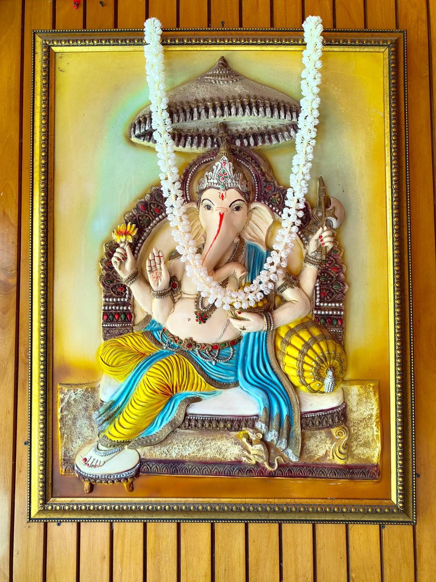 Shalimar The Mall Road